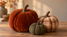 Load image into Gallery viewer, Fabric Pumpkins at Celestial Beerworks 10/18
