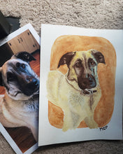 Load image into Gallery viewer, Watercolor Pet Portraits
