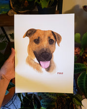 Load image into Gallery viewer, Watercolor Pet Portraits
