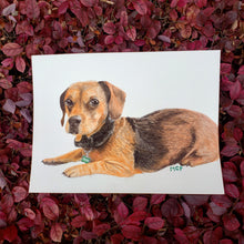 Load image into Gallery viewer, Watercolor Pet Portraits
